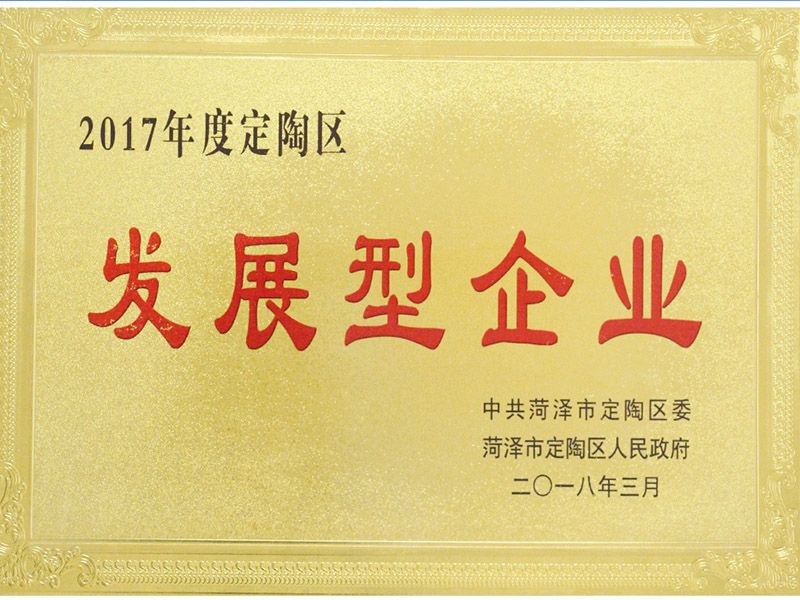2017年度定陶發(fā)展型企業(yè)